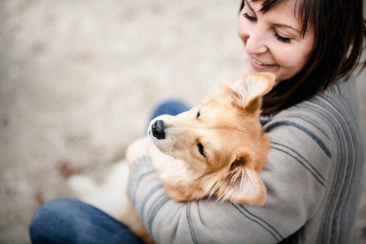 Angebot Fotoshooting zusammen mit dem Hund