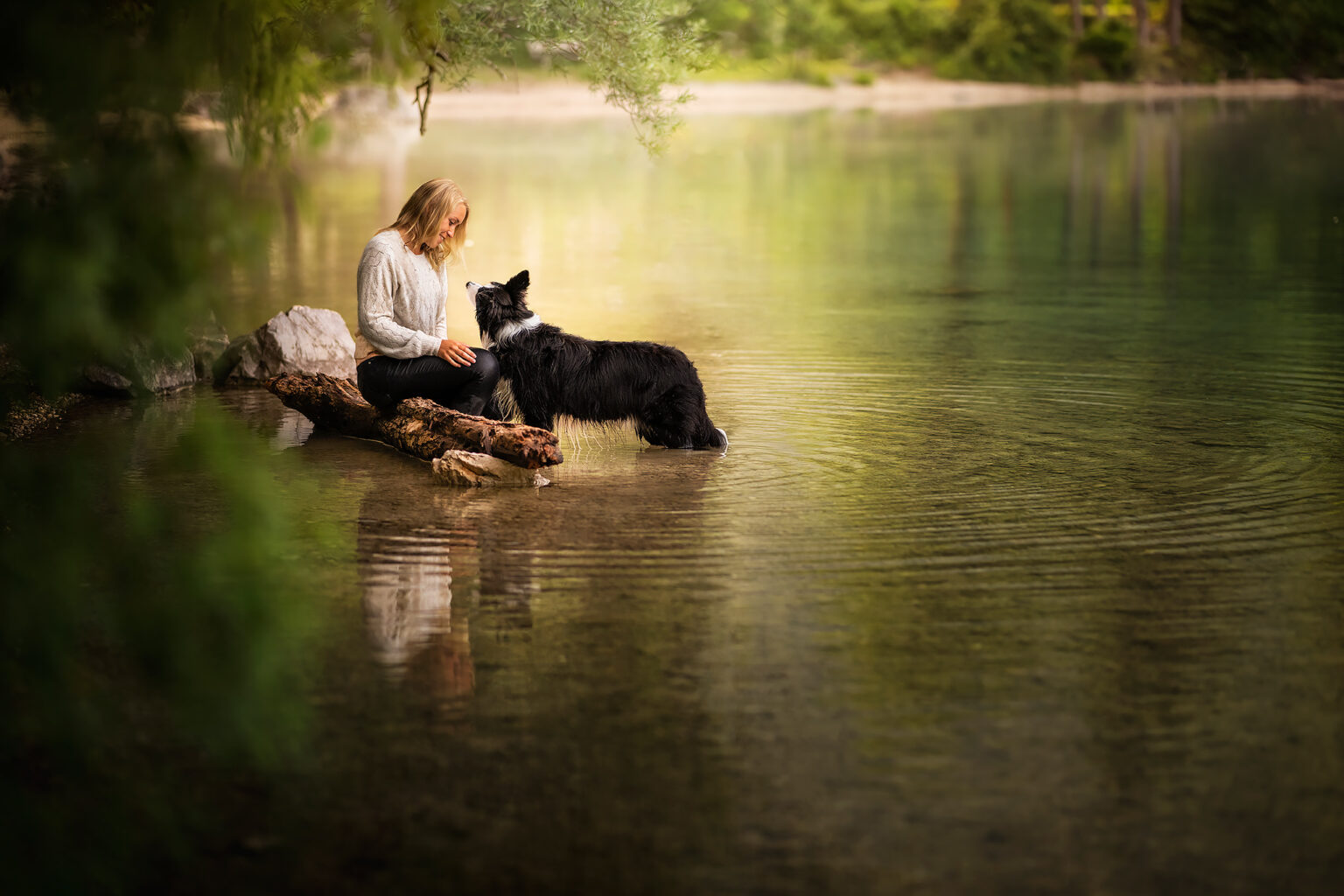 Hundefotoshooting Österreich - Anne Geier Fotografie Angebot