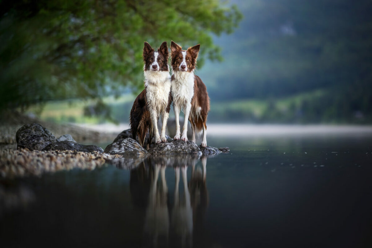 Mutter und Tochter